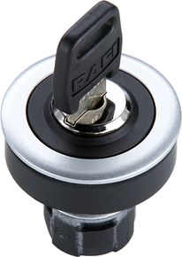 RAFIX 16 F Schlüsselschalter 40°