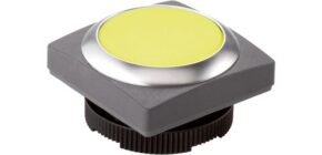 RAFIX 22 FS+ Drucktaster beleuchtbar gb