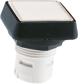 RAFIX 16 Drucktaster beleuchtbar ws