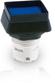 RAFIX 16 Drucktaster beleuchtbar gn