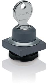 RAFIX 22 FS+ Schlüsselschalter 40°