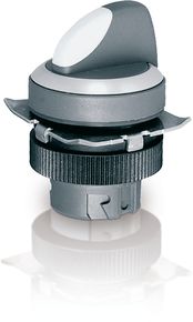 RAFIX 22 QR Wahlschalter 2x90°