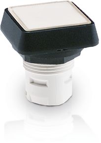 RAFIX 16 Drucktaster beleuchtbar rt