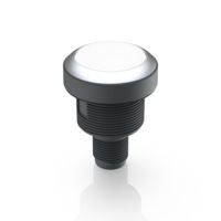 RAMO 22 T M12 1S ws FL chrom